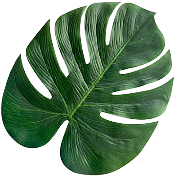 Green leaf