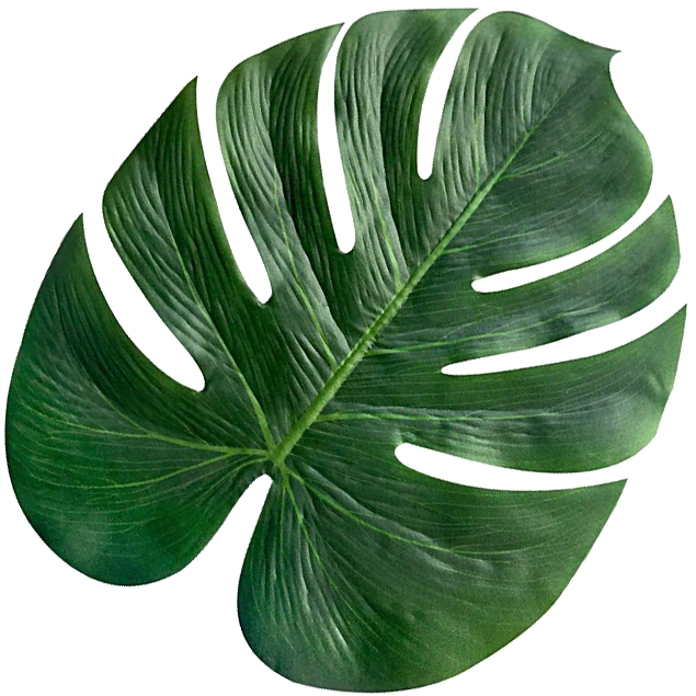 Green leaf