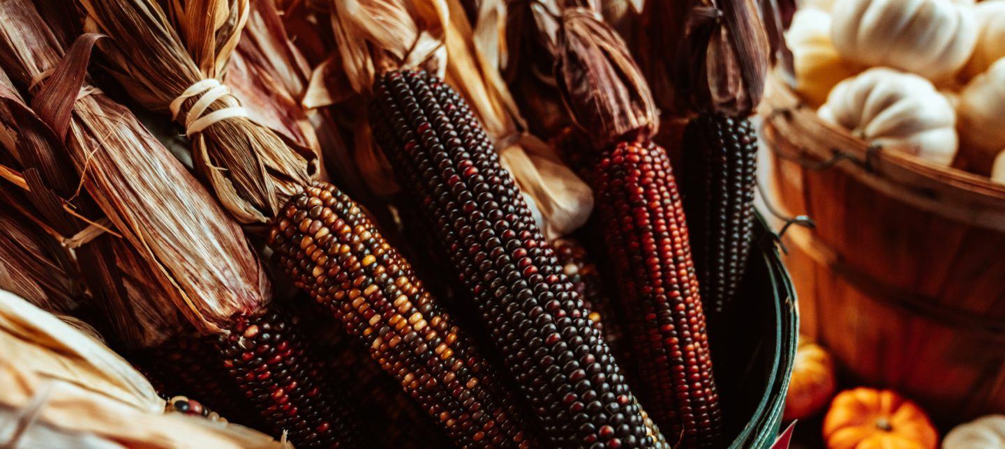 red corn in a basket