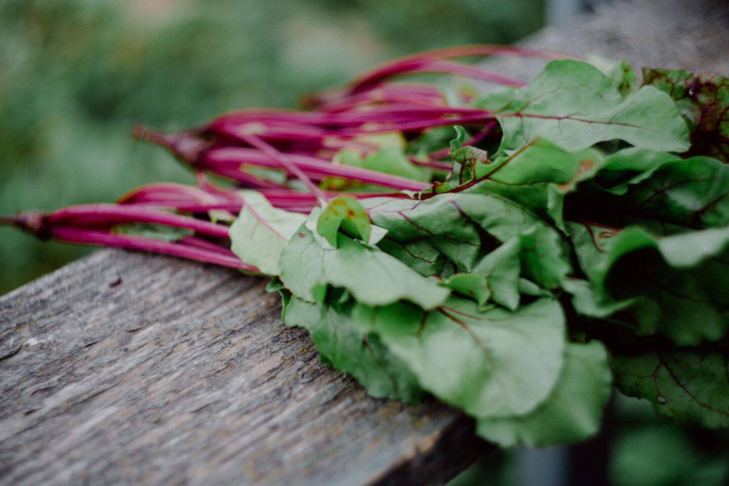 beet leaves, packed with nutrients