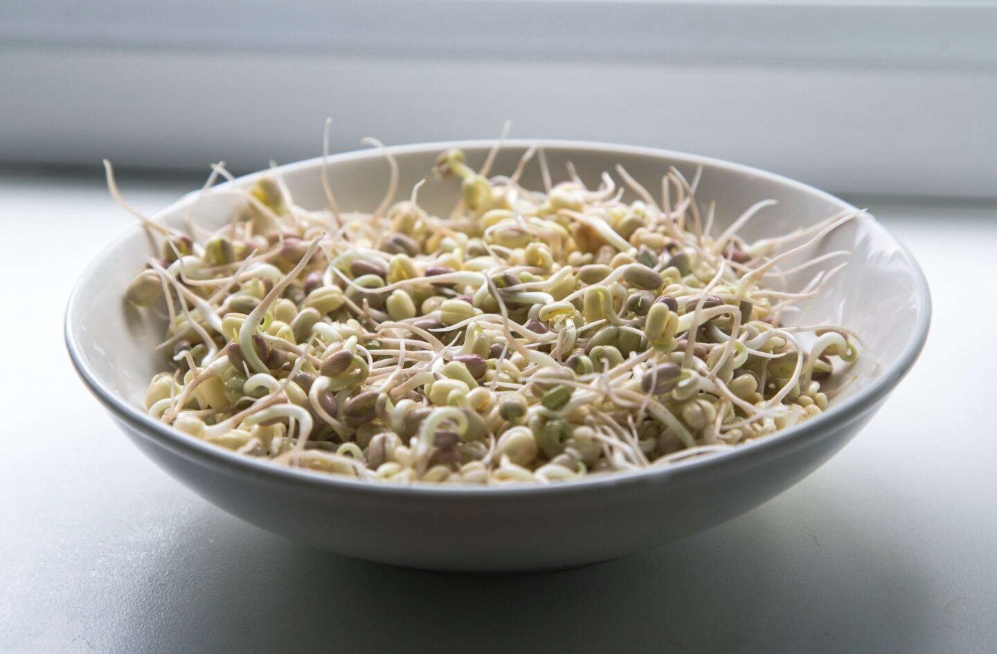 bowl full of sprouts