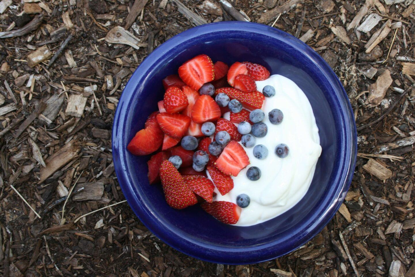 fresh bowl of yogurt with berries