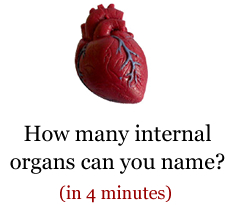 How many internal organs can you name in 4 minutes?