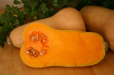 butternut