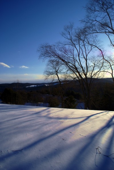 A wintery nature photo with a blue sky 