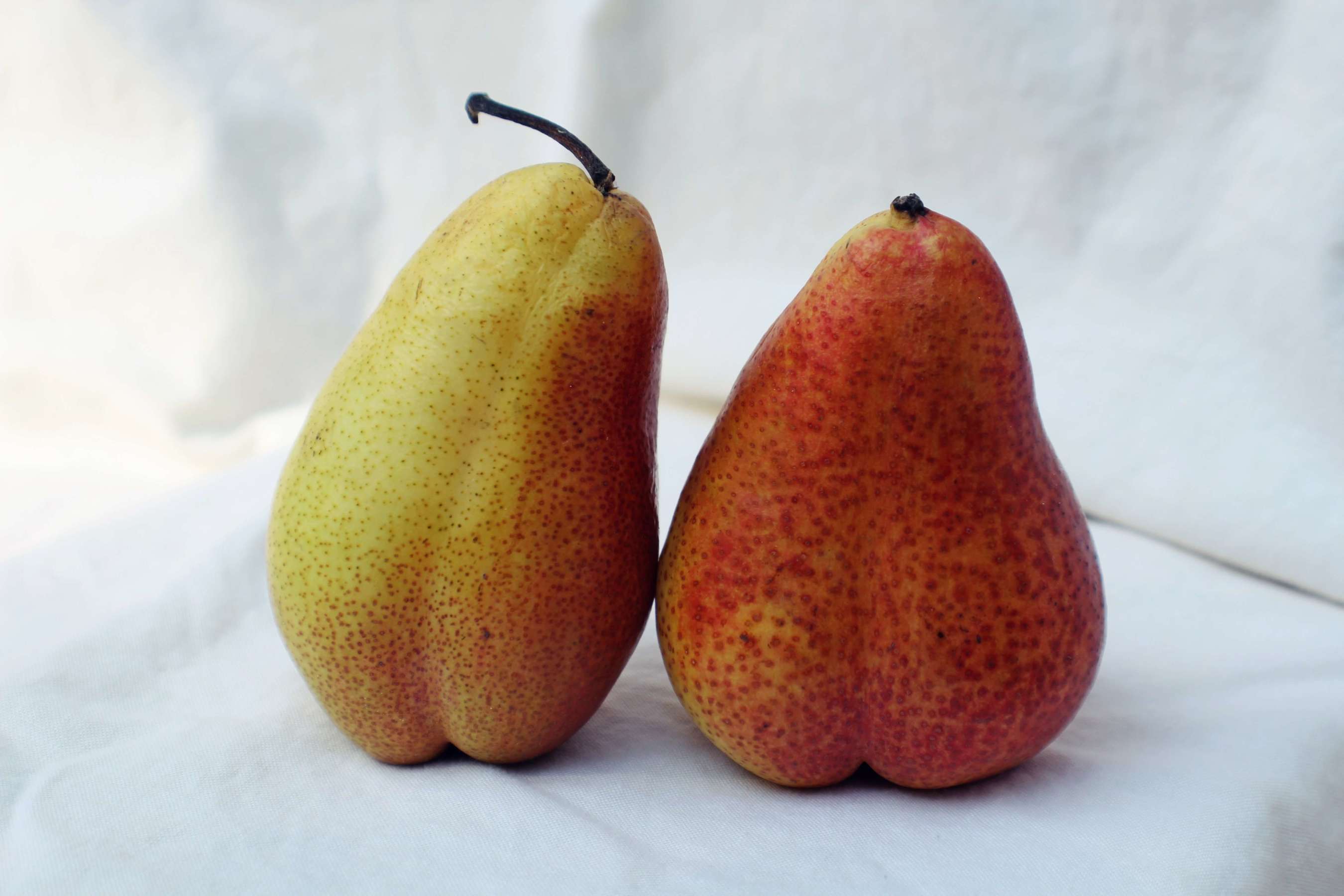 Two yellow pears sitting on a white textured background