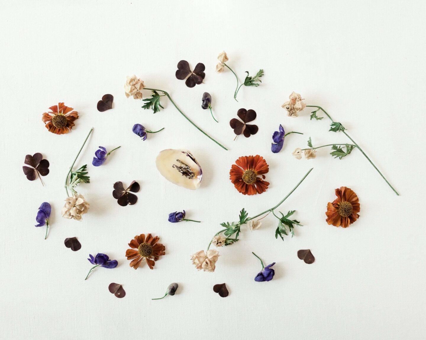 blue and white flowers and herbs, decoratively scattered to make a pretty pattern
