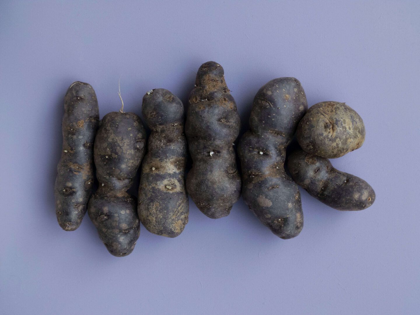 purple potatoes on a purple background