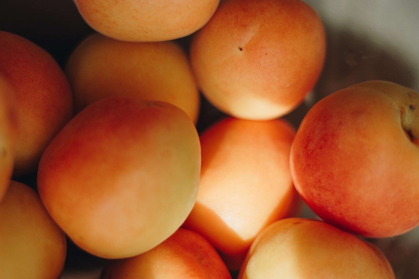 A crate full of fresh and ripe orange and yellow apricots, basking in the sunlight