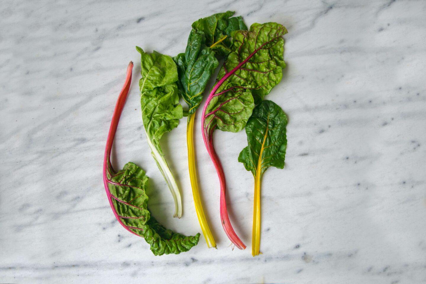 Various types of Swiss chard leaves, landing from yellow stems to vibrant red