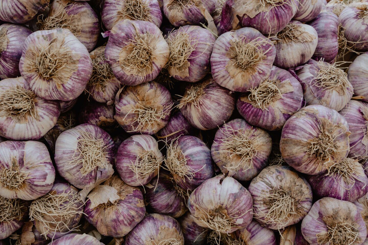 A farmers market show cases a wide range of purple garlic