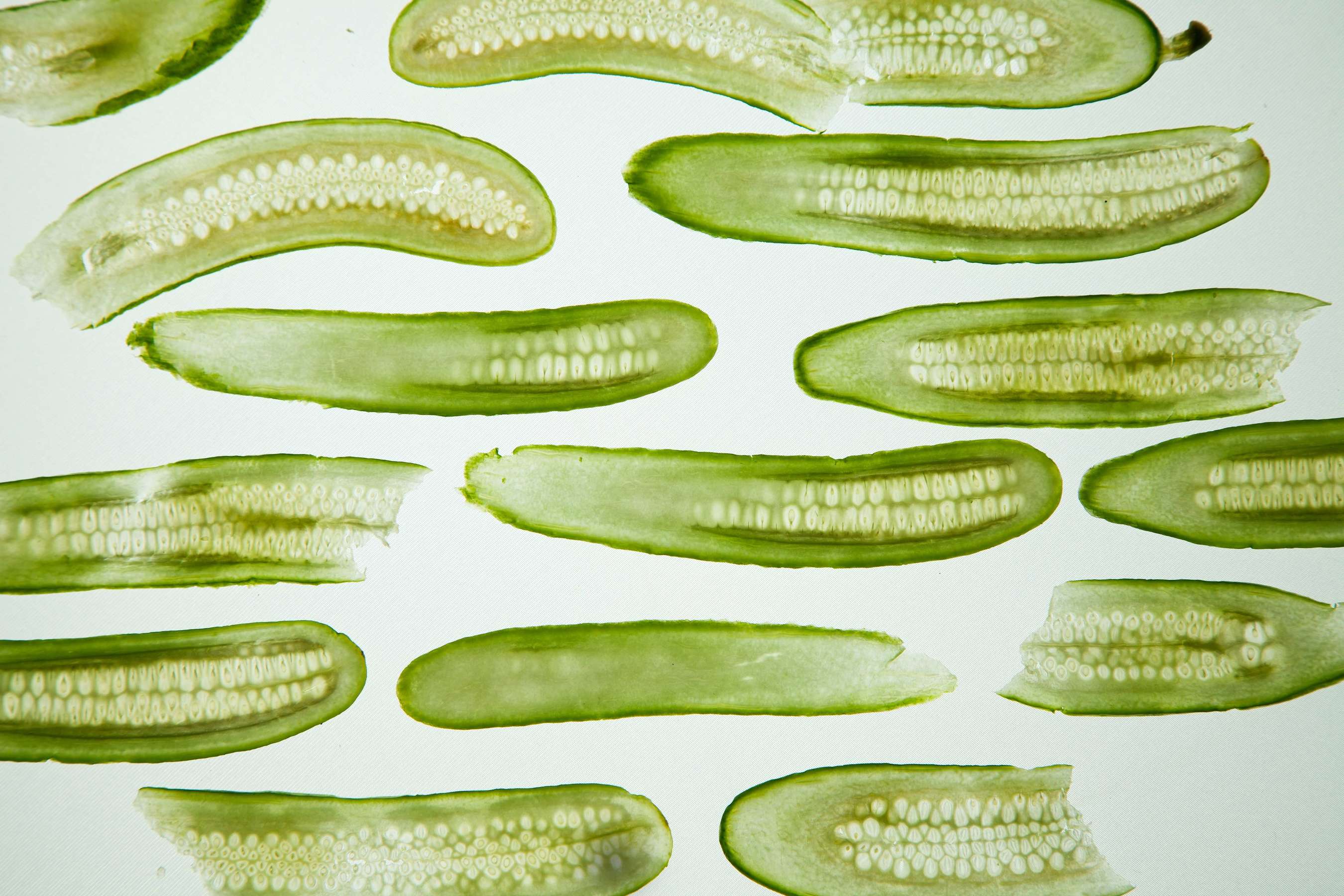 Cross sections of a cucumber, ready to be pickled