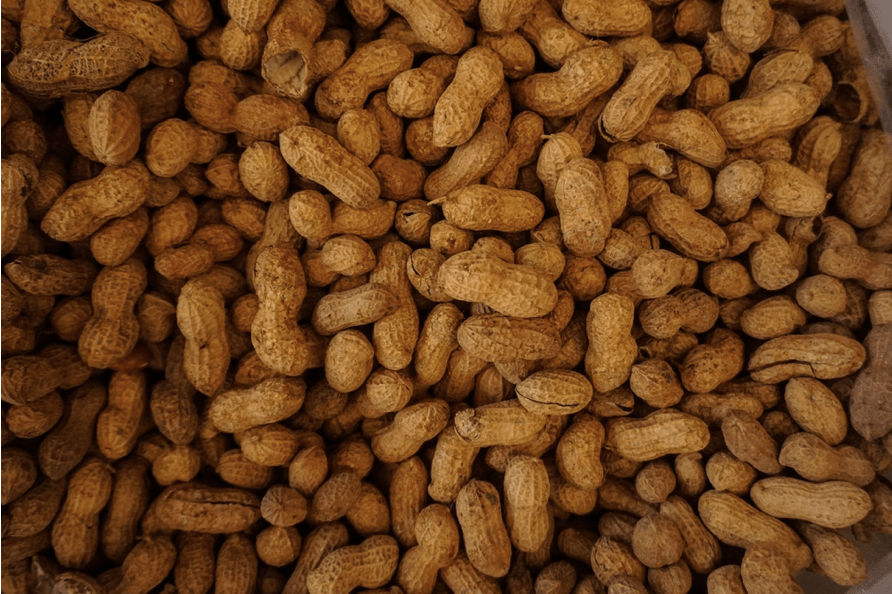 a lot of whole peanuts