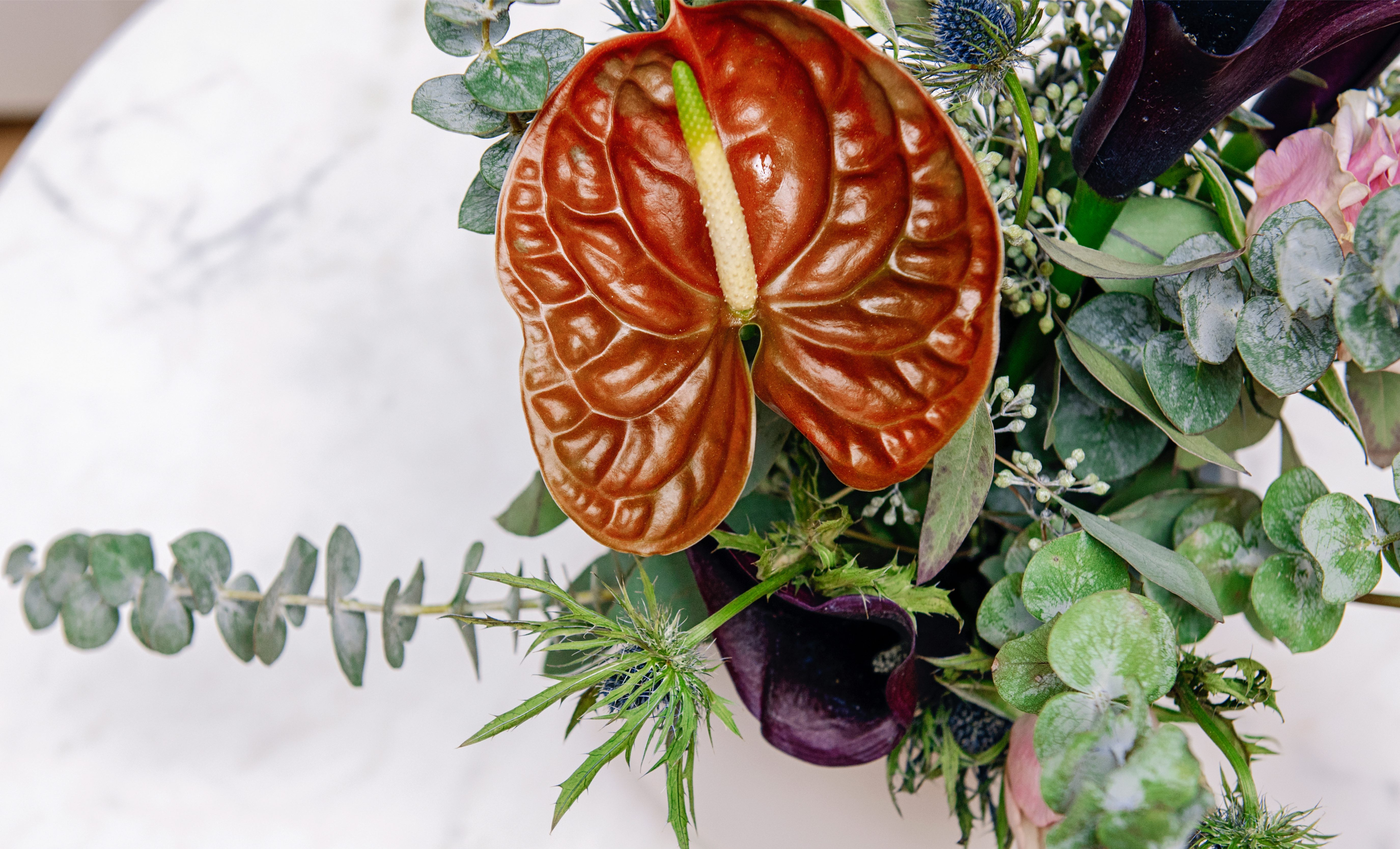 Acupuncture New York City Chinese Medicine The Yinova Center