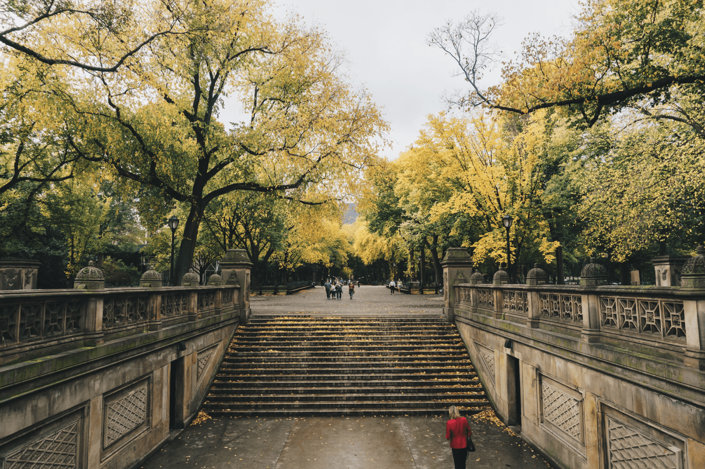 Late Summer in Central Park