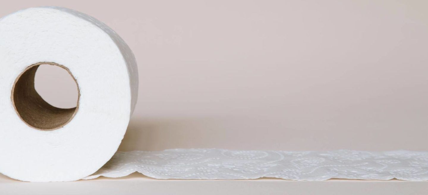 Roll of toilet paper