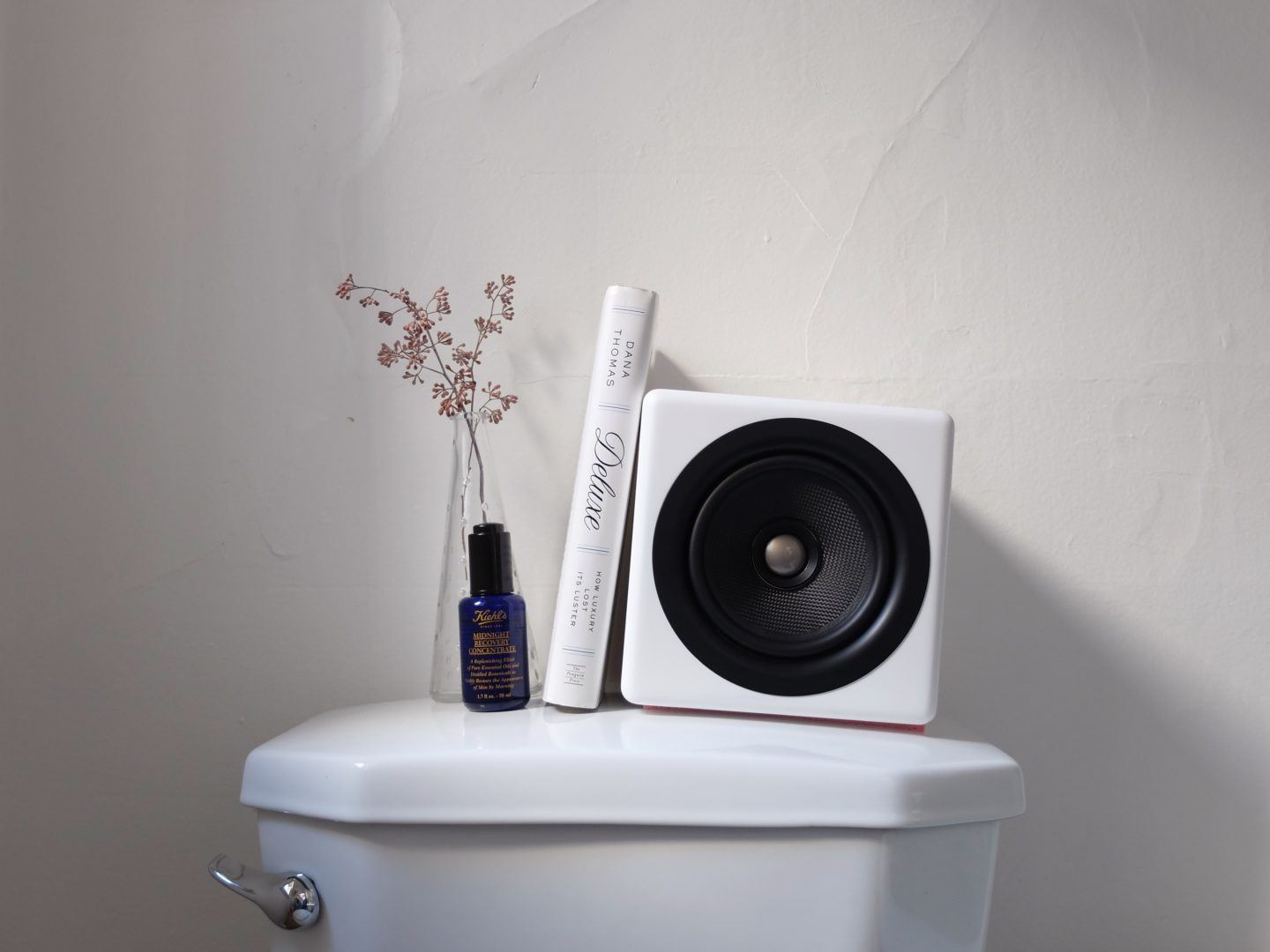 Stylishly decorated toilet