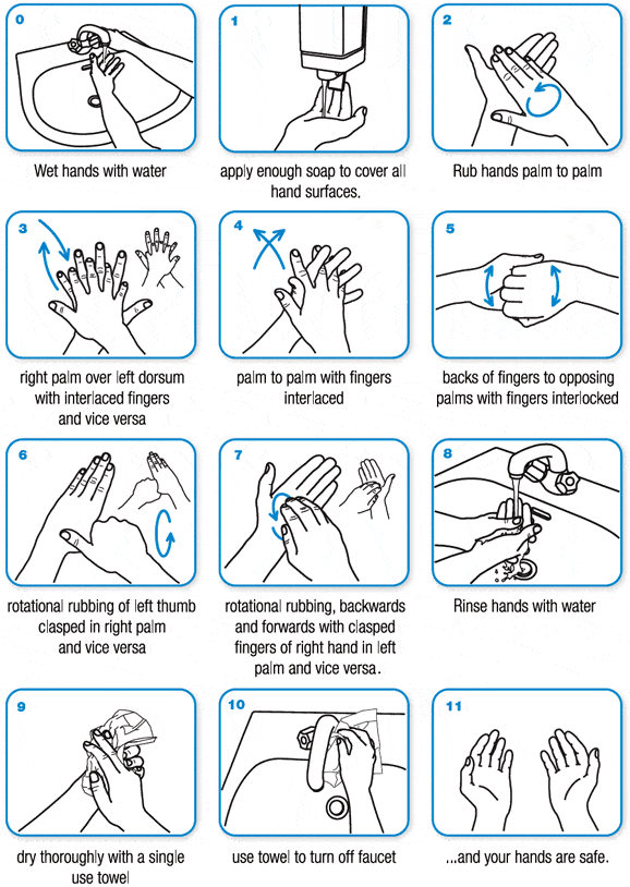 "How to wash your hands" provided by WHO