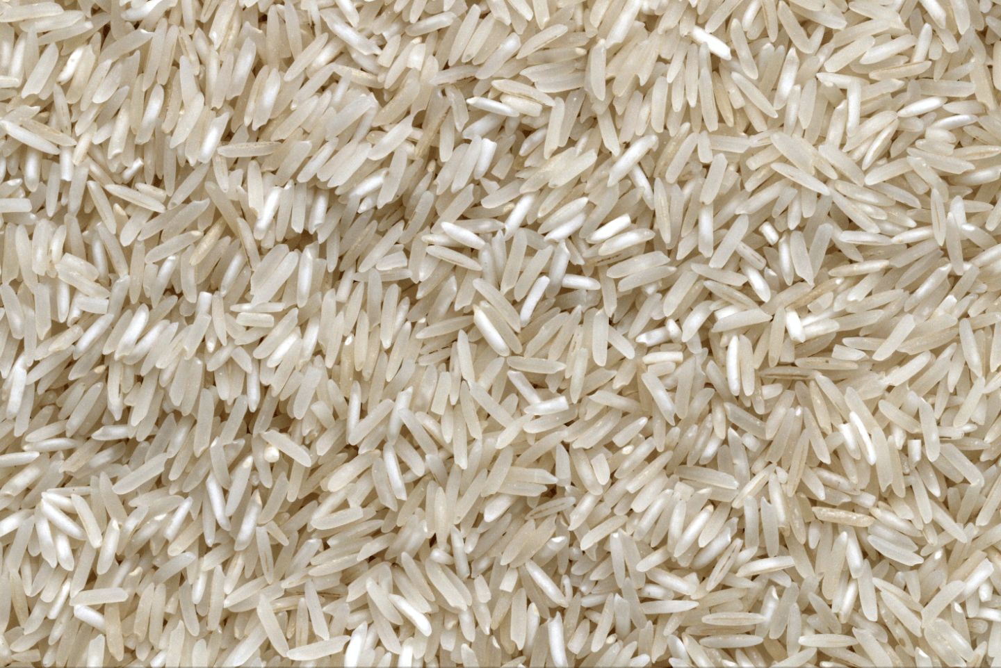 grains of rice