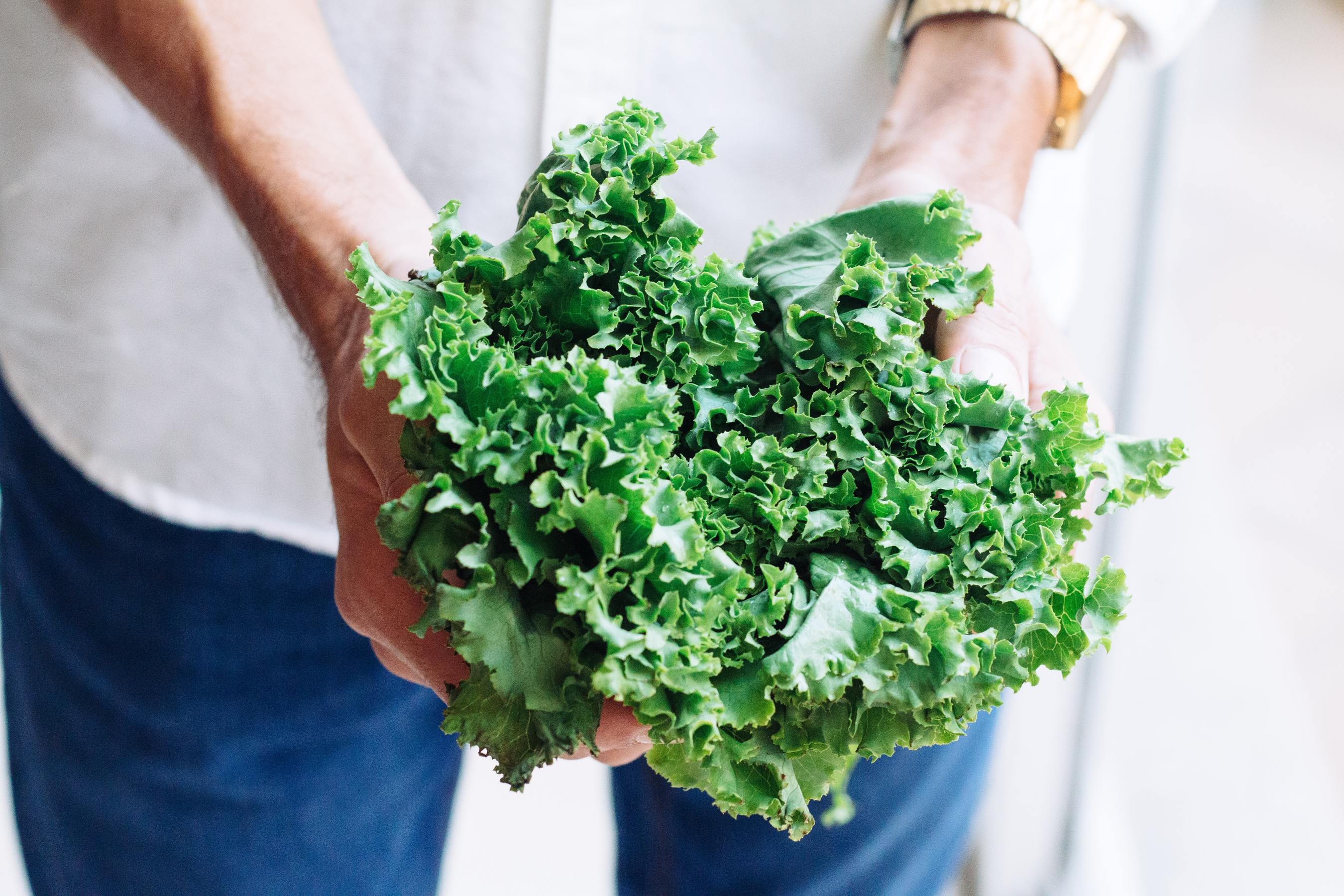 Hands holding kale