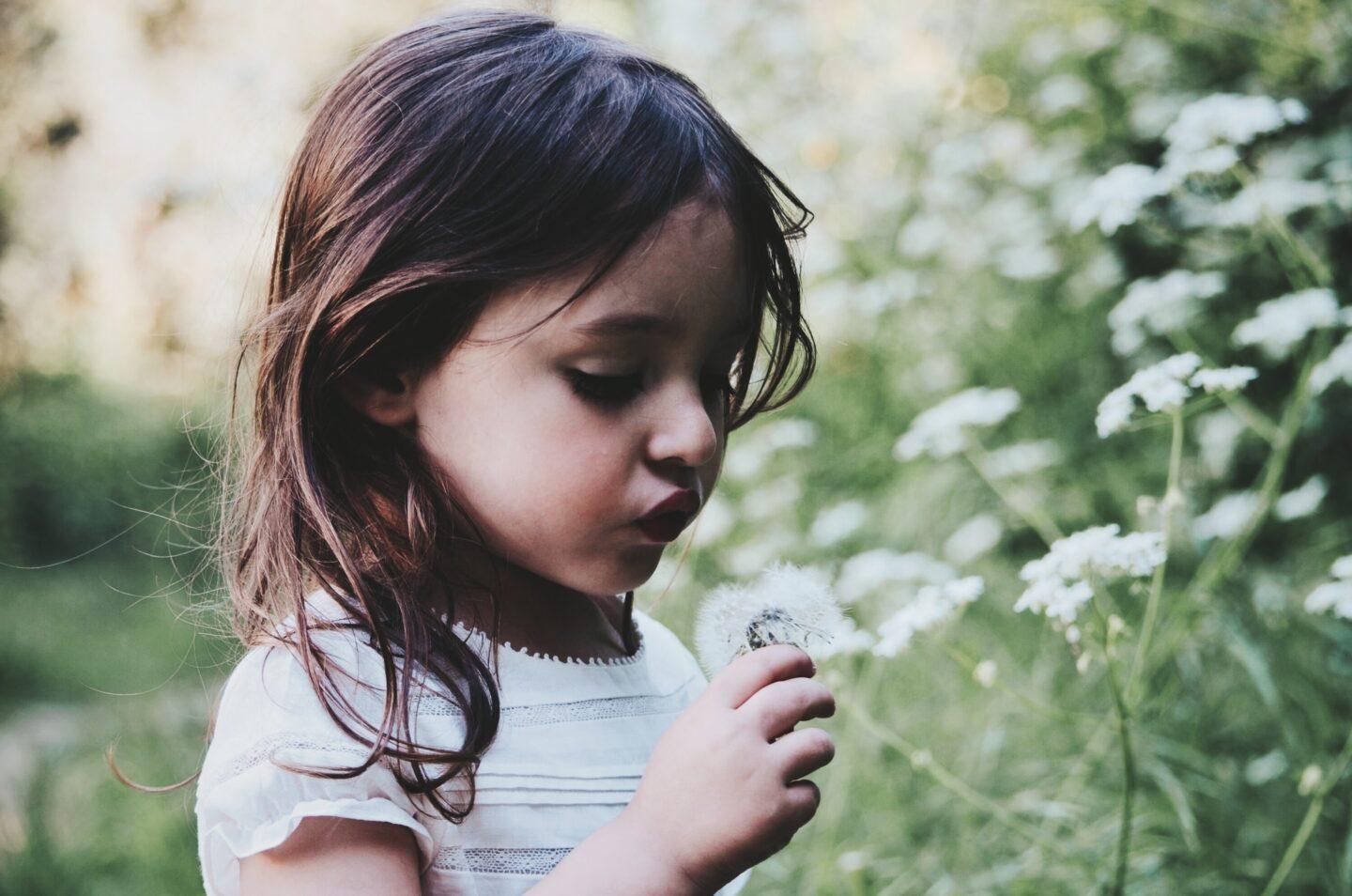 little girl blowing on a dandelion