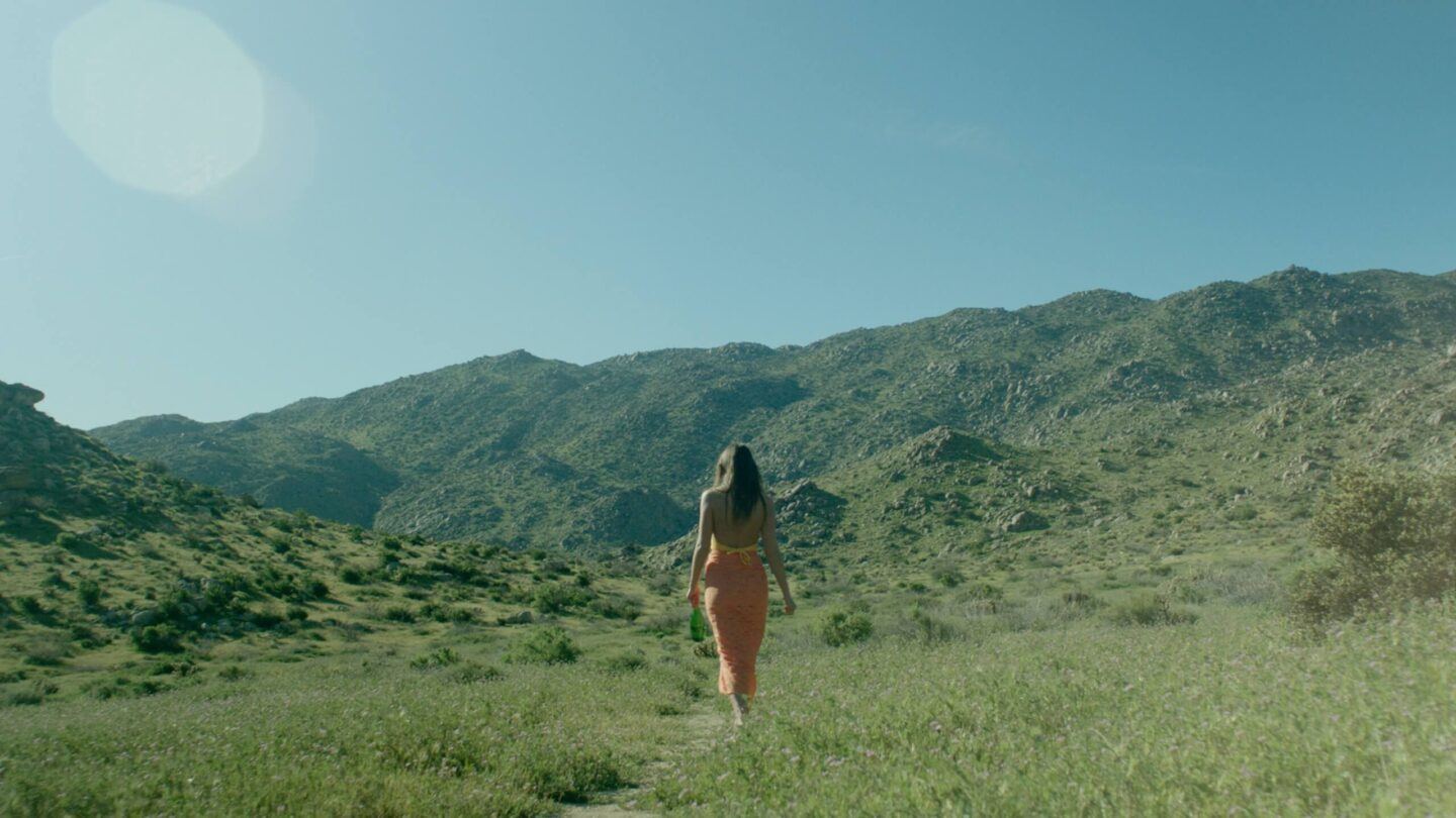 A woman in an orange dress walks into a vibrant green field