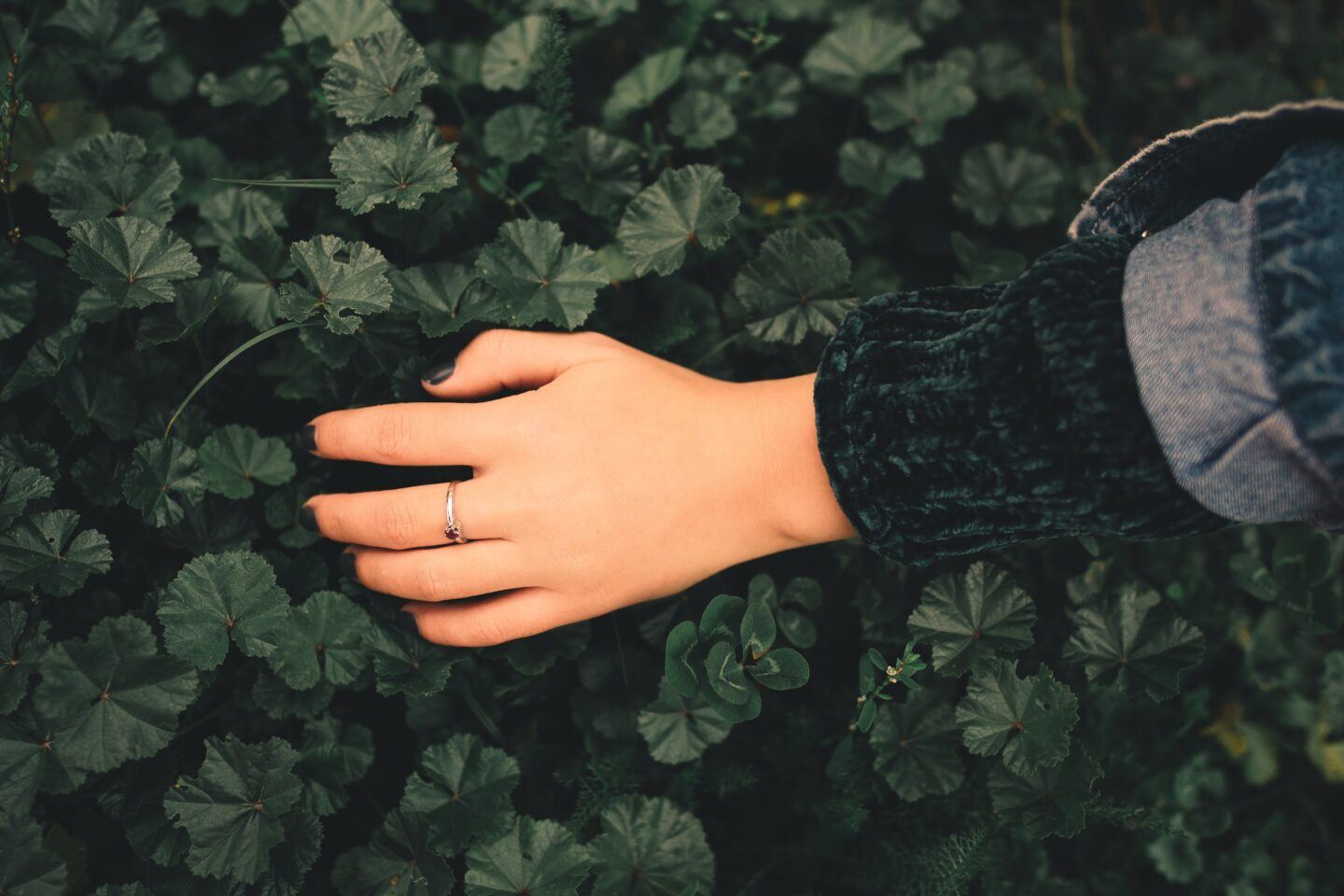 Hand with a ring against a bush