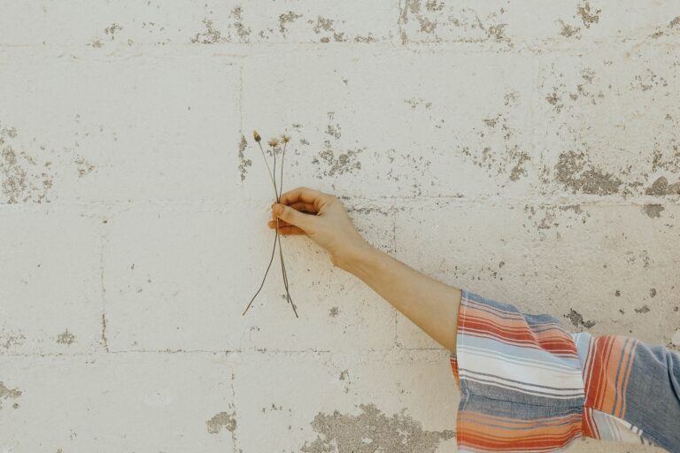 Acupuncture & Physical Therapy: An Integrated Approach to Pelvic Floor Health