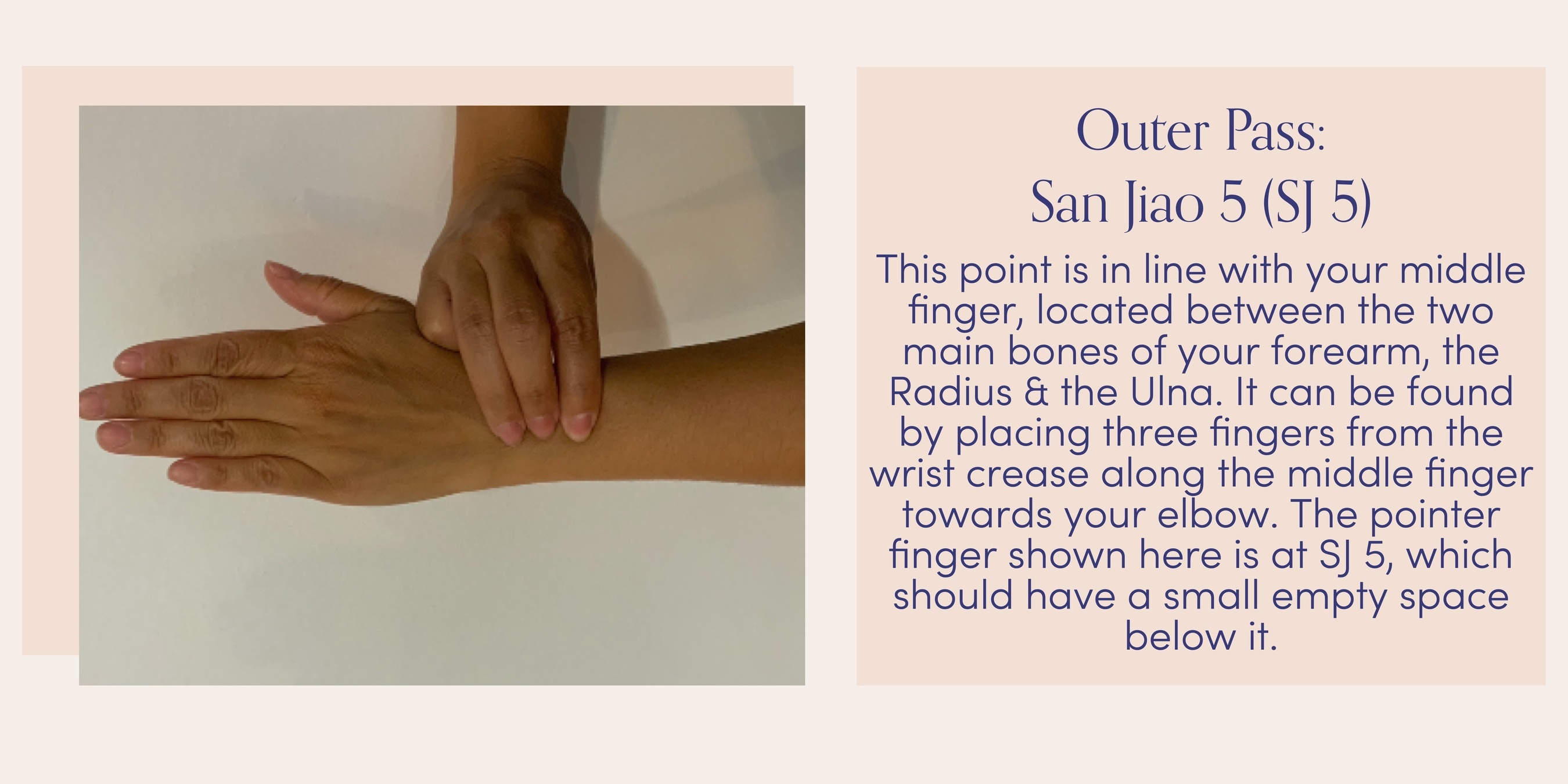 Acupressure point, San Jiao 5, which can be found on the wrists: This point is in line with your middle finger, located between the two main bones of your forearm, the Radius & the Ulna. It can be found by placing three fingers from the wrist crease along the middle finger towards your elbow. The pointer finger shown here is at SJ 5, which should have a small empty space below it. 