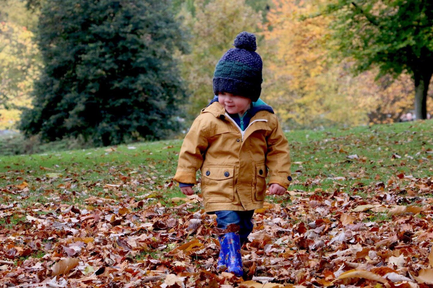 A cute kid wearing big blue waterproof shoes walks through a park with red and brown leaves on the ground