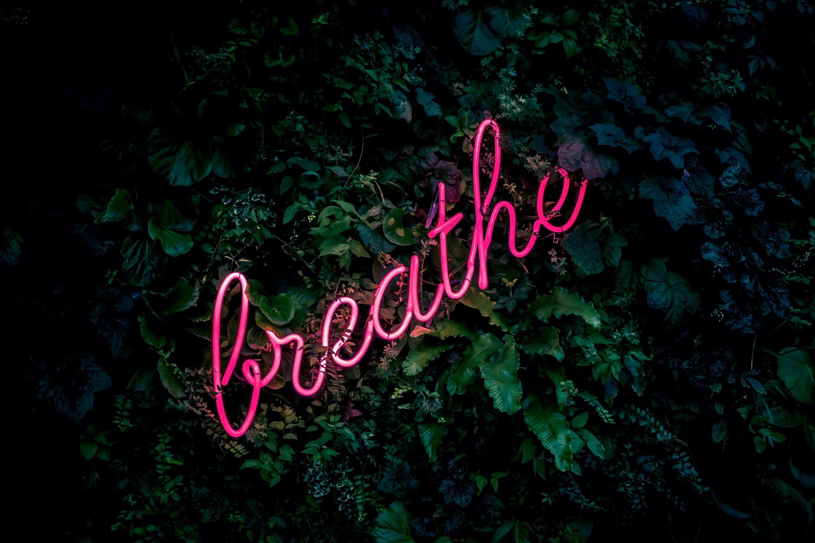 neon light nestled in shrubby show the word "breathe" a good reminder when utilizing massage